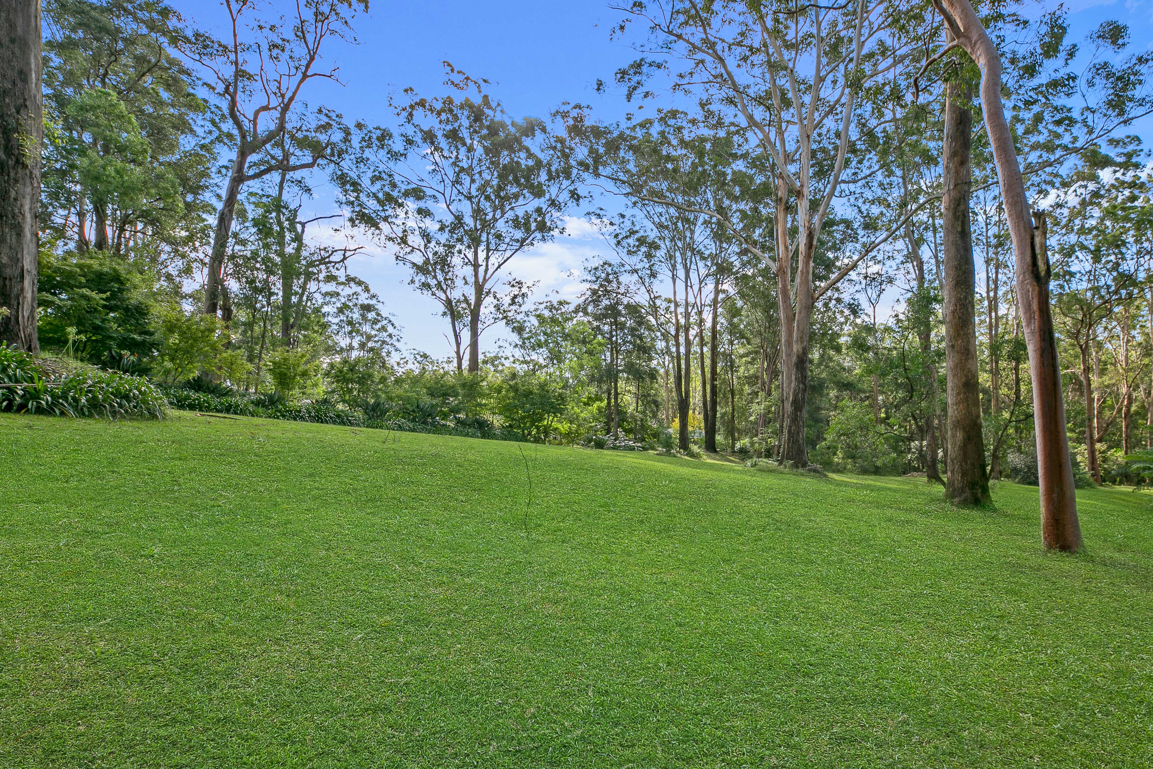 3 Wirrabara Road, Dural House For Sale In Dural Wiseberry