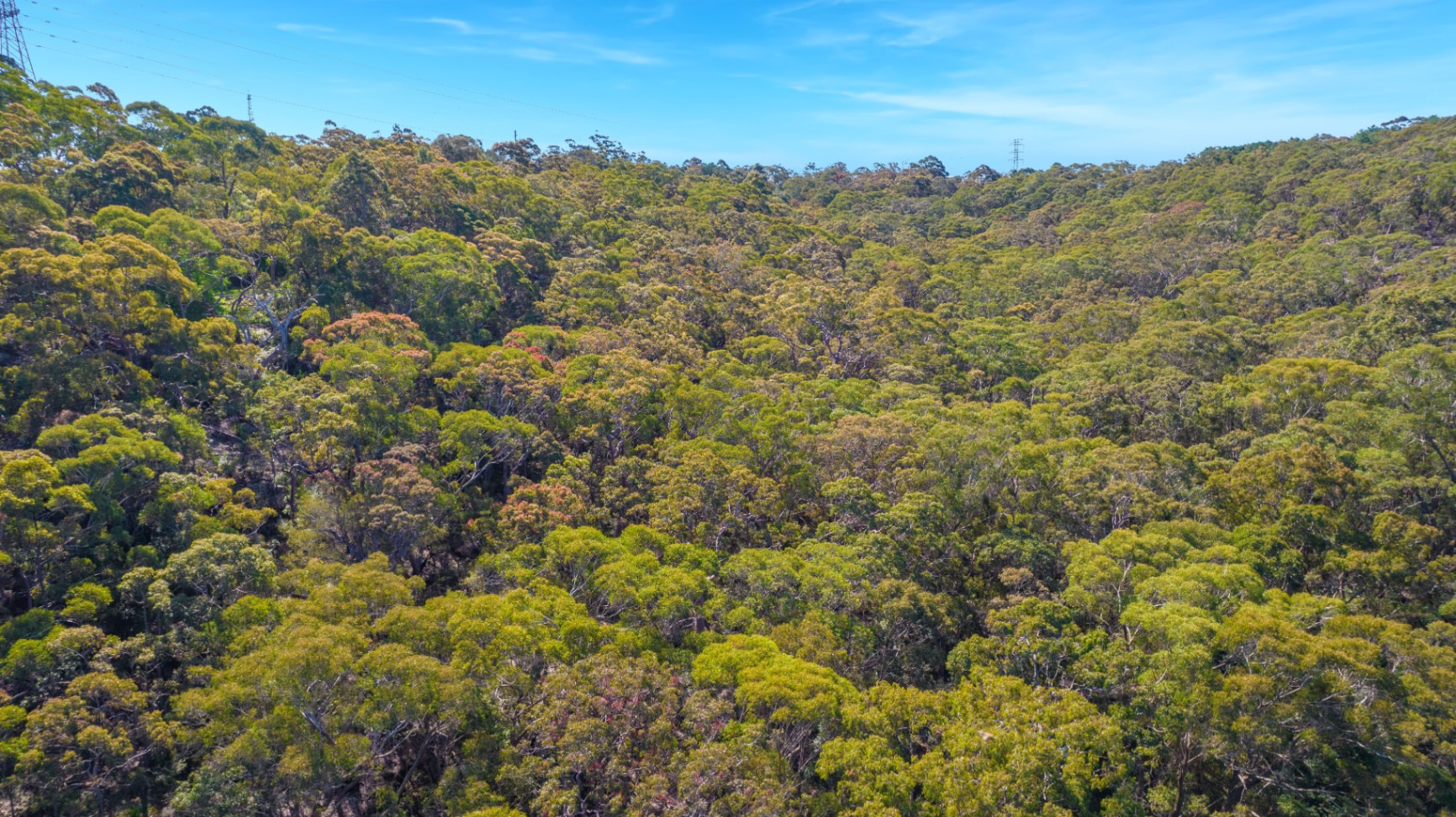 68 Quarry Road, Dural House For Sale In Dural Wiseberry