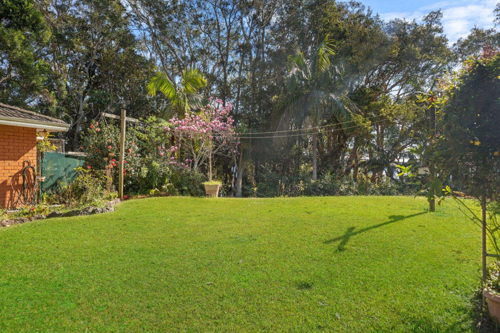 1 Camden Head Road, Dunbogan House For Sale In Dunbogan Wiseberry