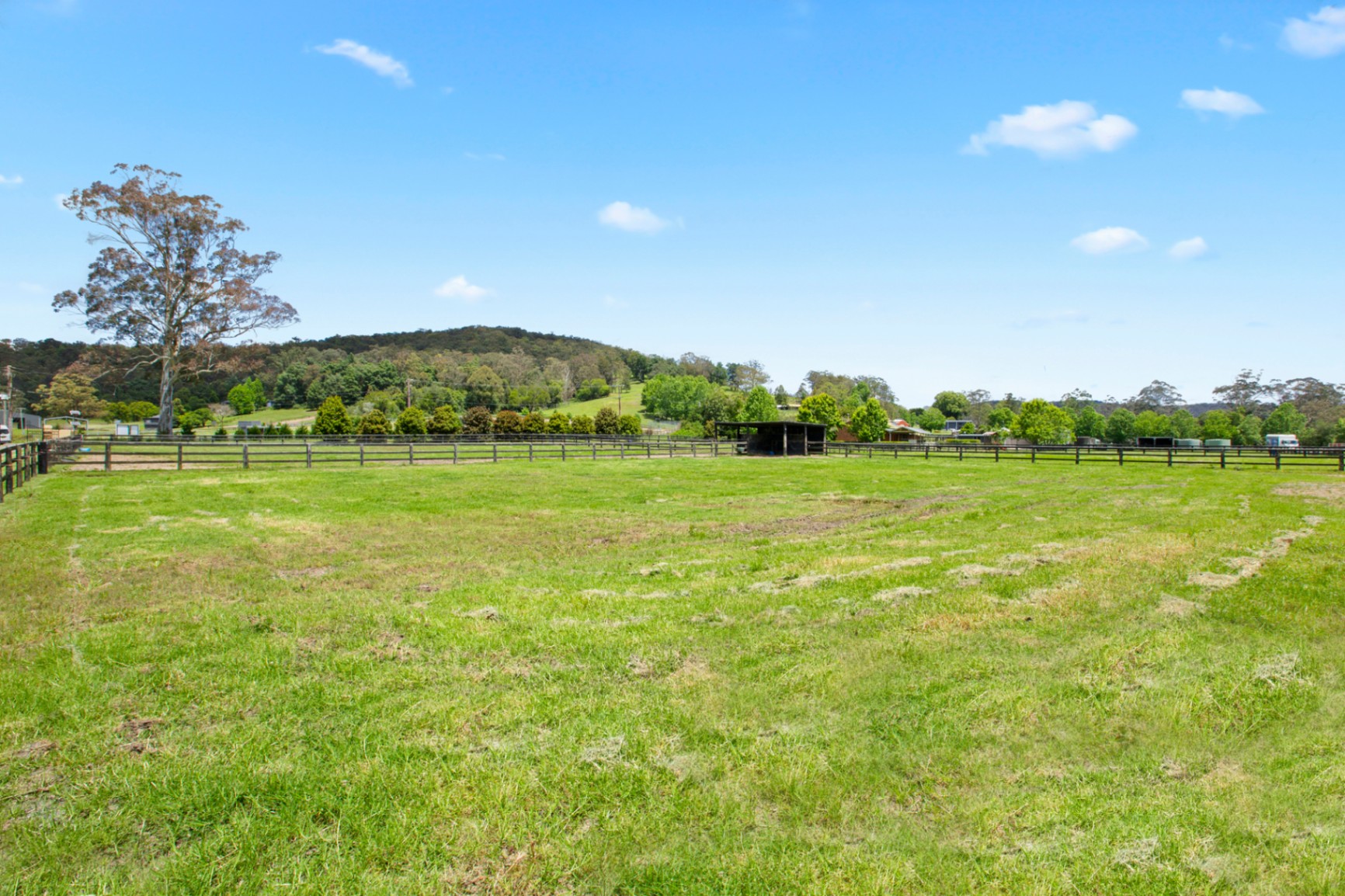 557 Yarramalong Road, Wyong Creek For Sale In Wyong Creek Wiseberry