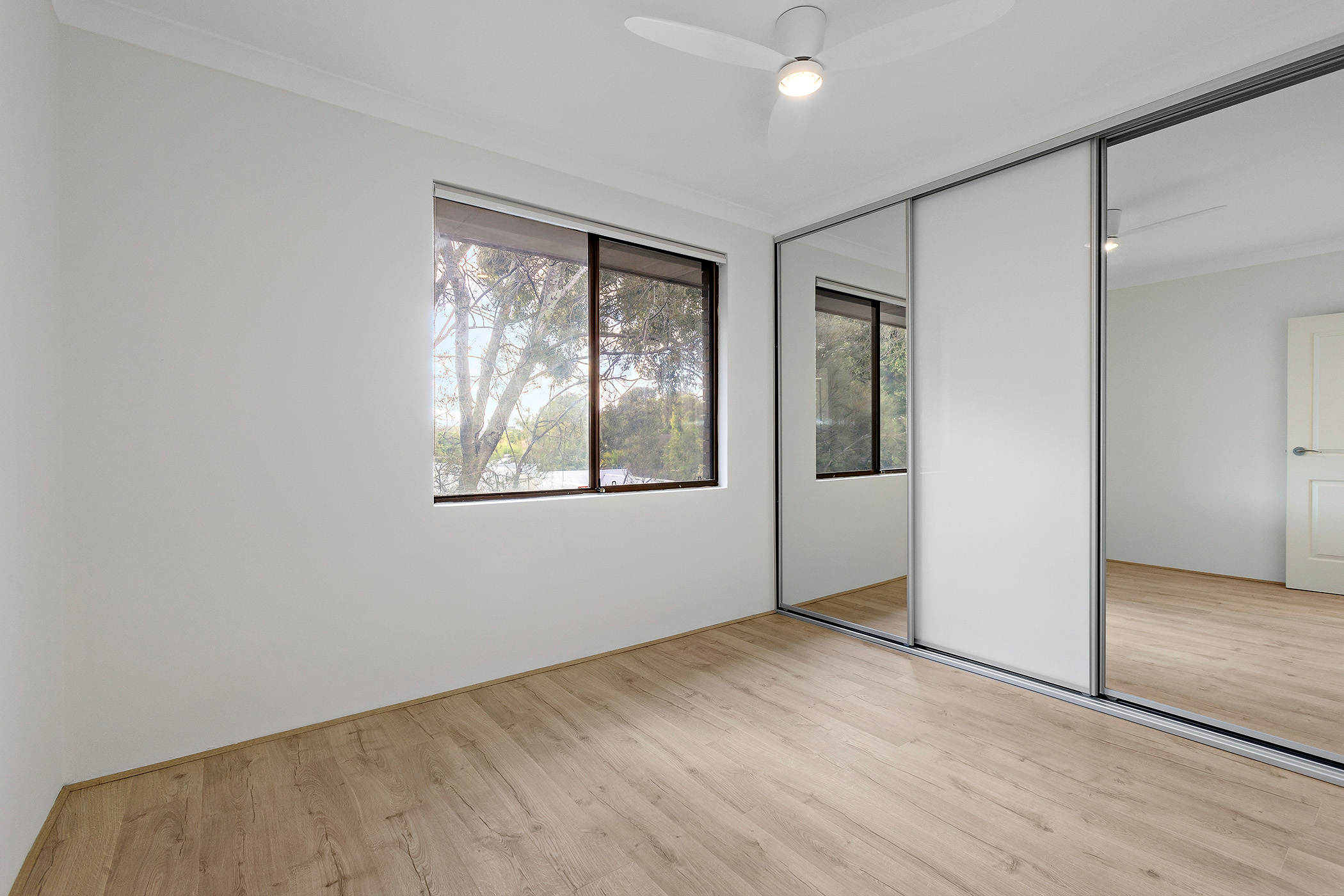 2127 Tupper Street, Enmore House For Sale In Enmore Wiseberry