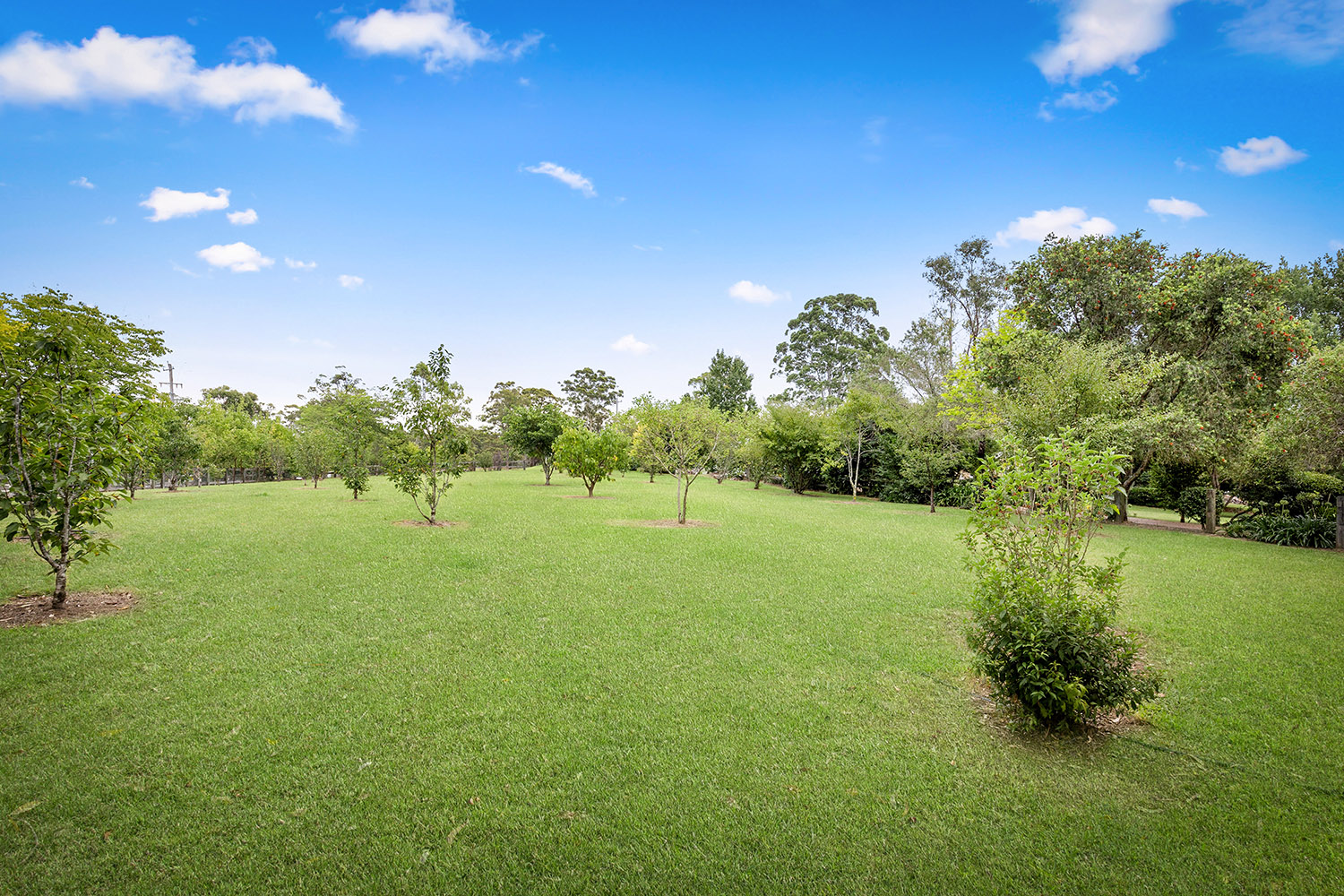 7 Road, Glenorie Acreage/rural For Sale In Glenorie Wiseberry