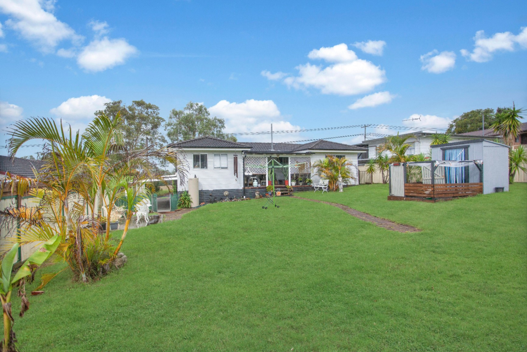 52 Richardson Street, Wingham House For Sale In Wingham Wiseberry