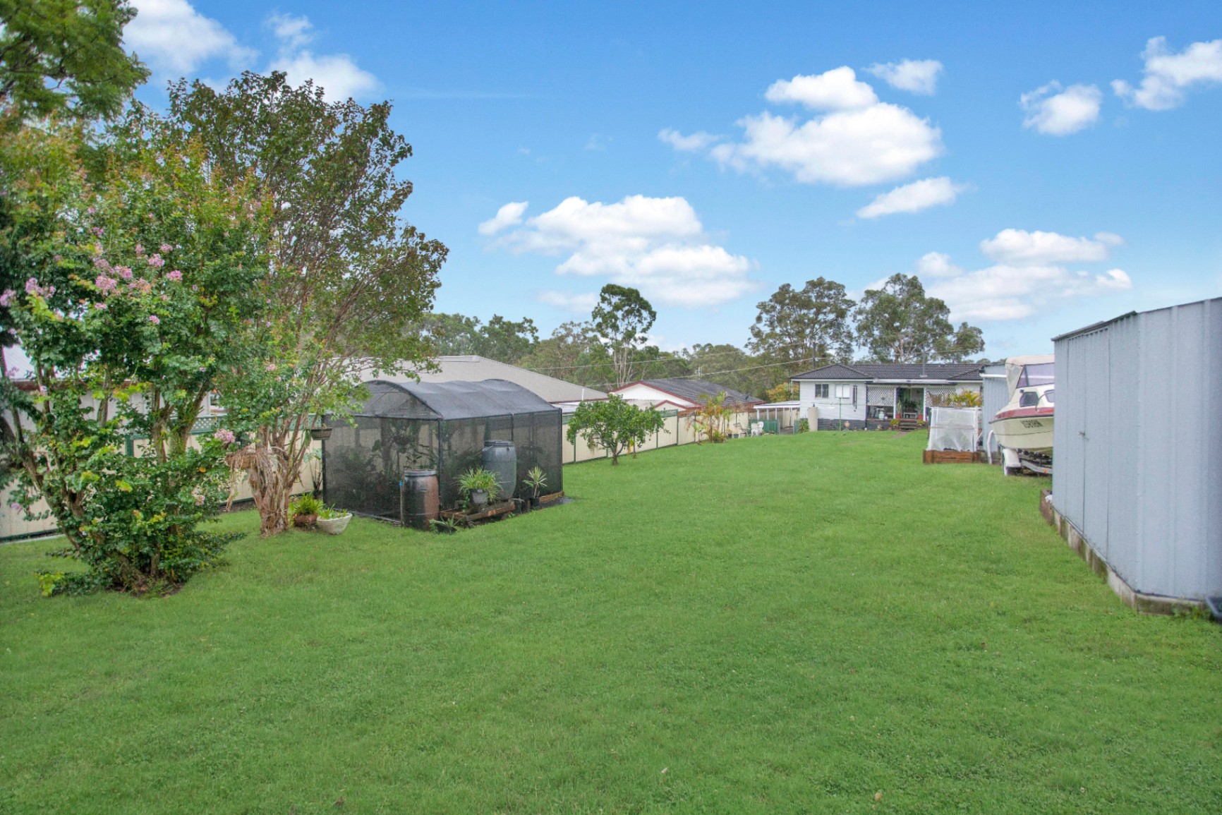 52 Richardson Street, Wingham House For Sale In Wingham Wiseberry