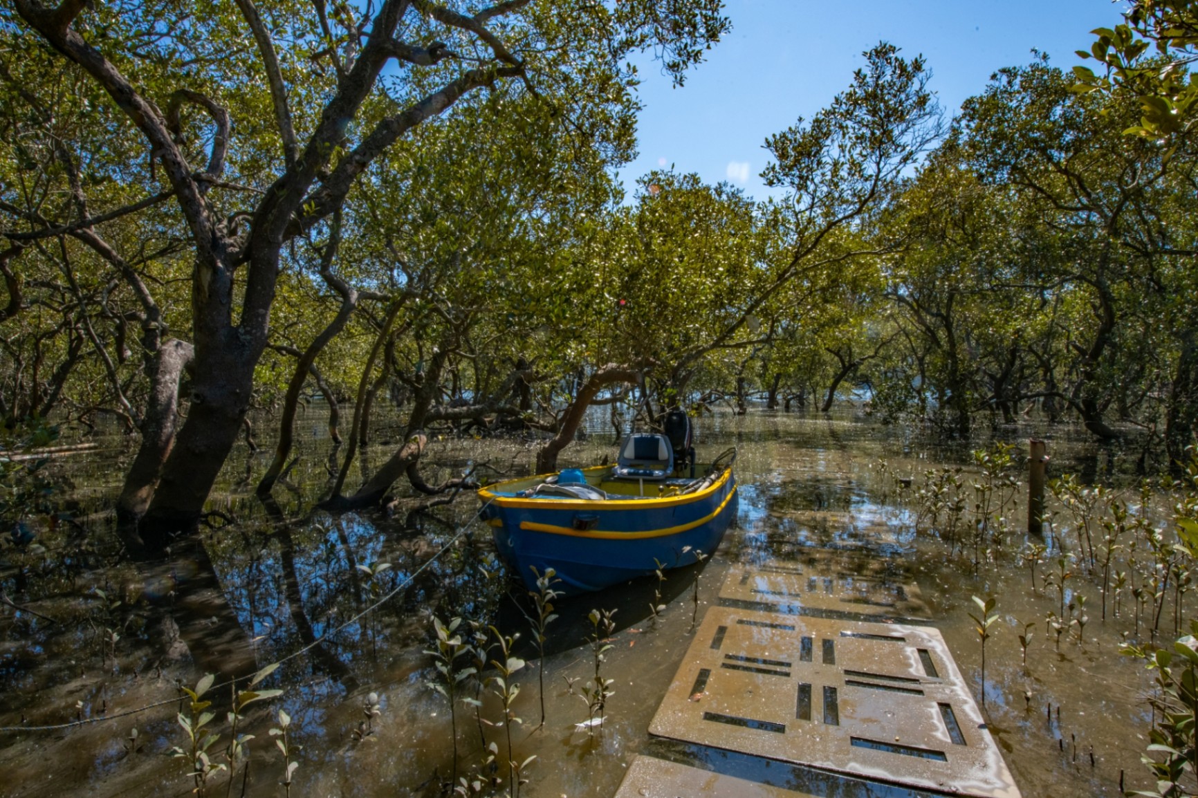 14 Point Road, Mooney Mooney House For Sale In Mooney Mooney Wiseberry