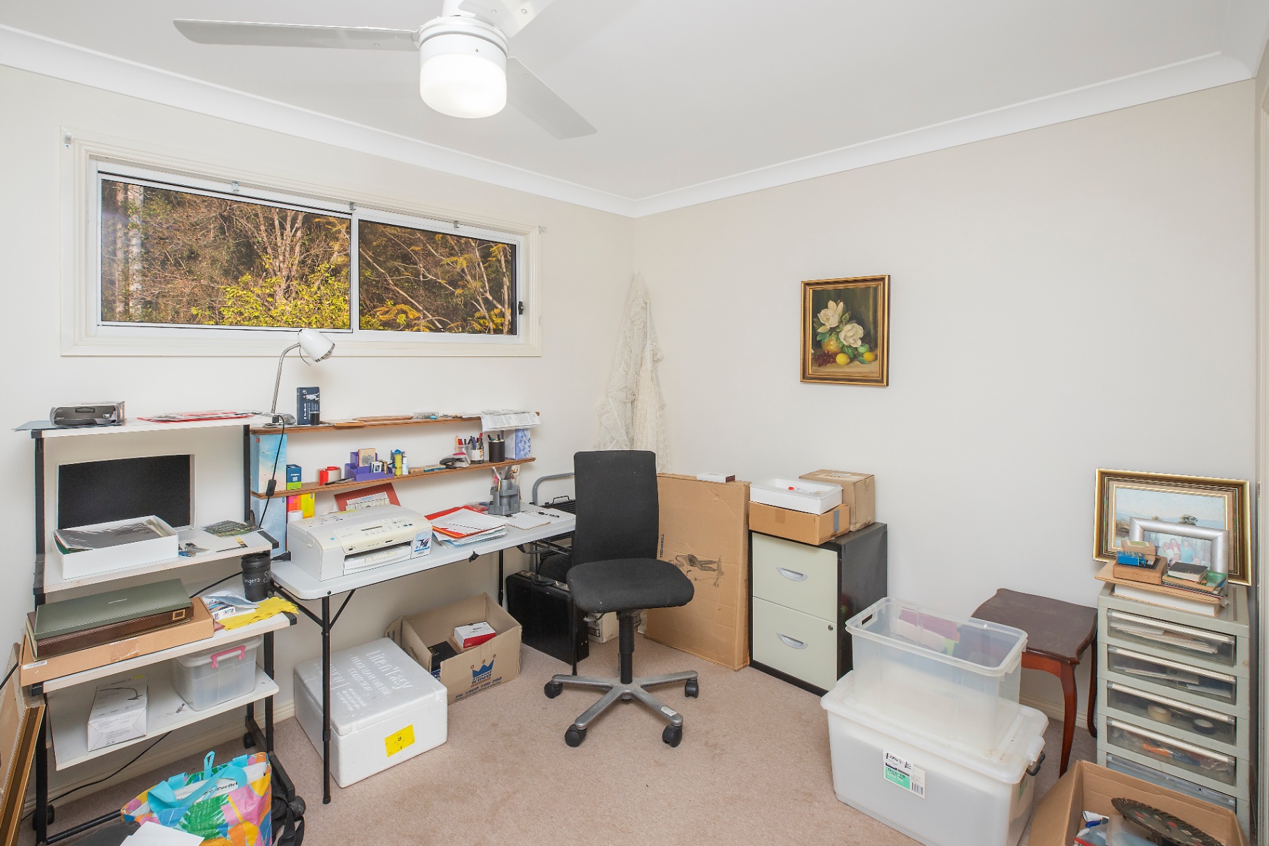 230 High Street, Wauchope House For Sale In Wauchope Wiseberry