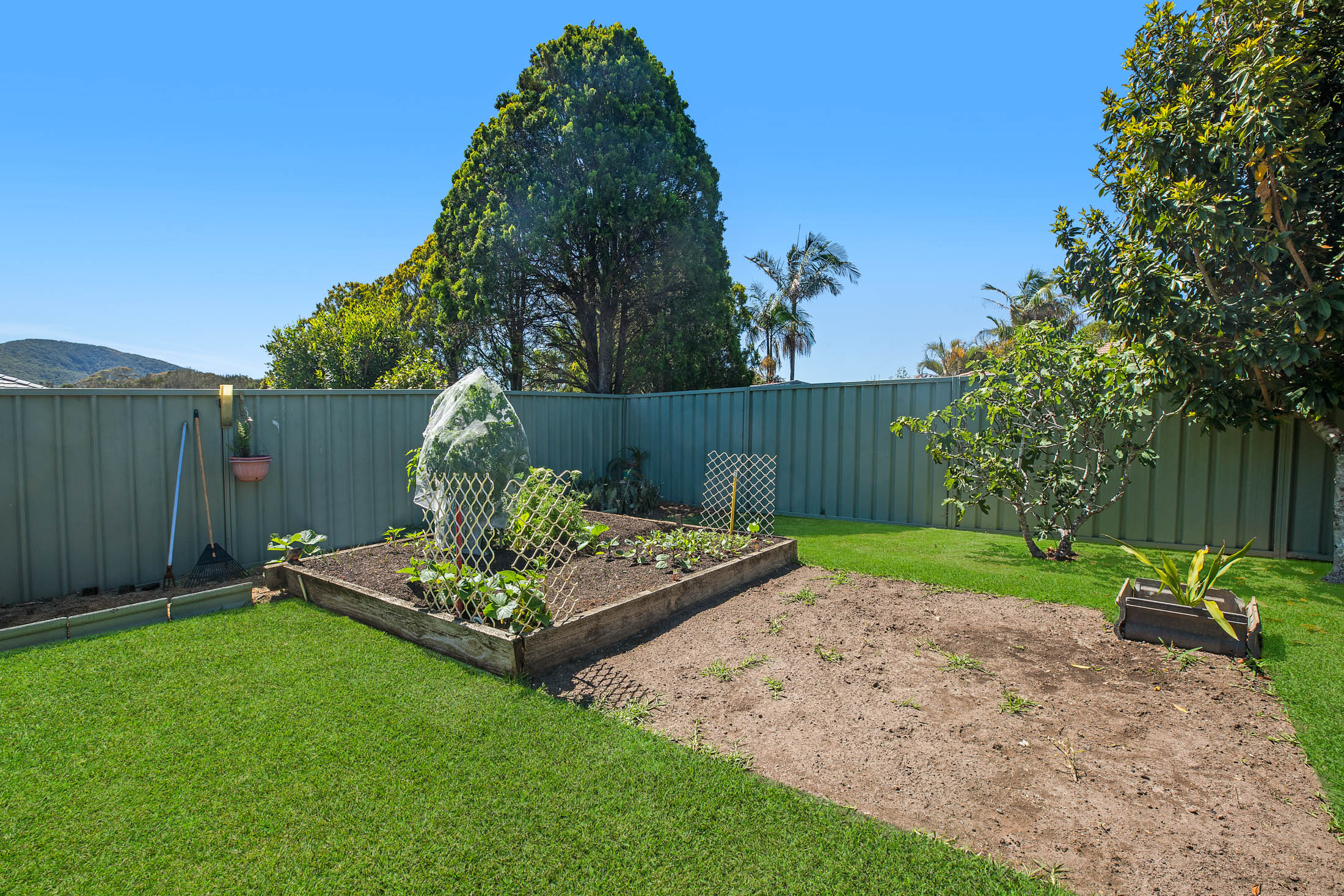 80 Myall Drive, Forster House For Sale In Forster Wiseberry