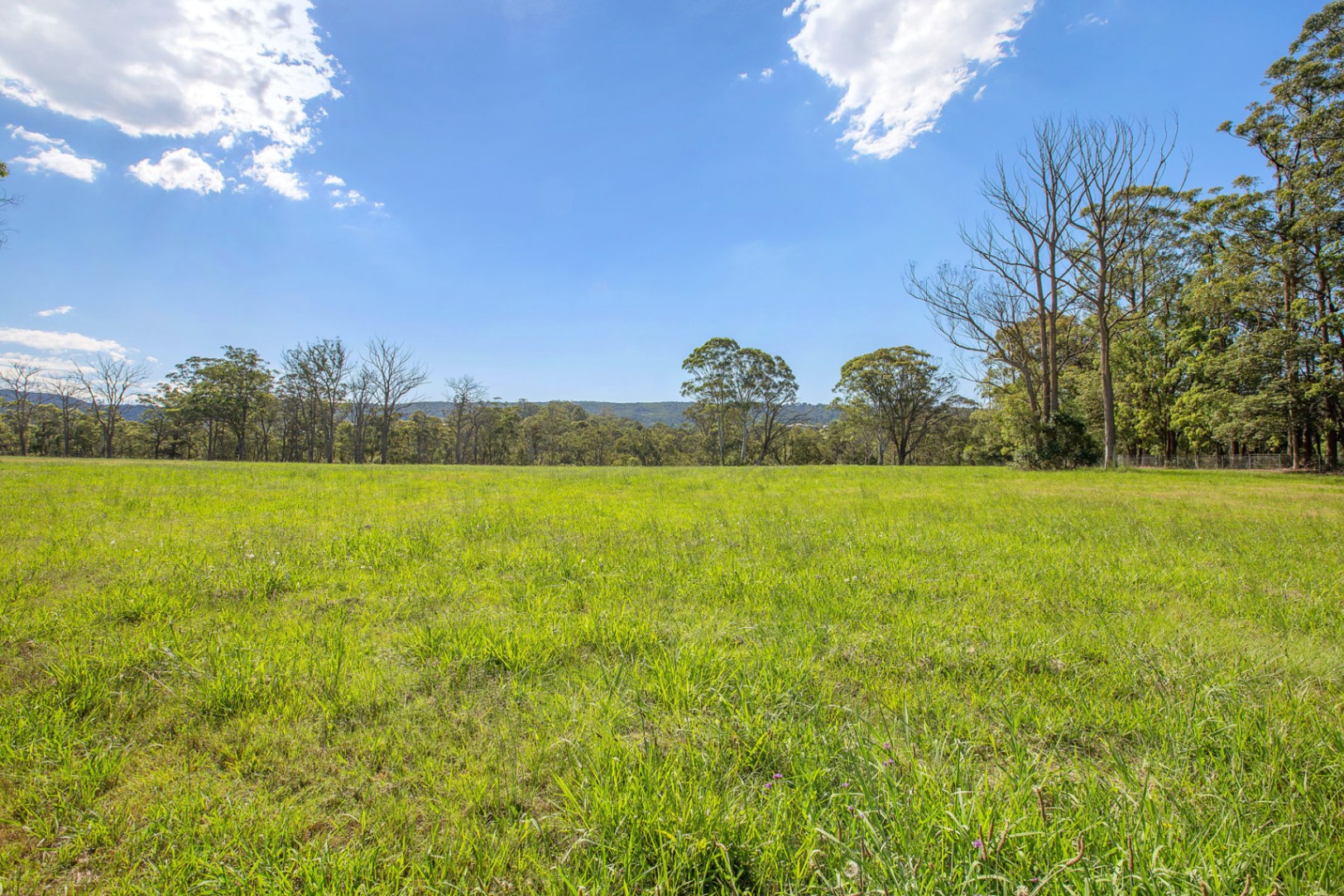 1059c Grose Vale Road, Kurrajong Land For Rent In Kurrajong Wiseberry