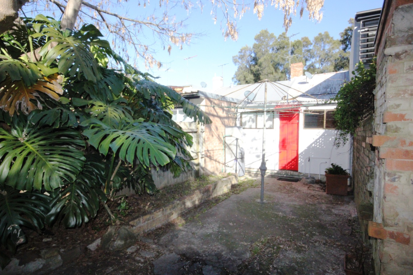 96 Simmons Street, Enmore House For Rent In Enmore Wiseberry