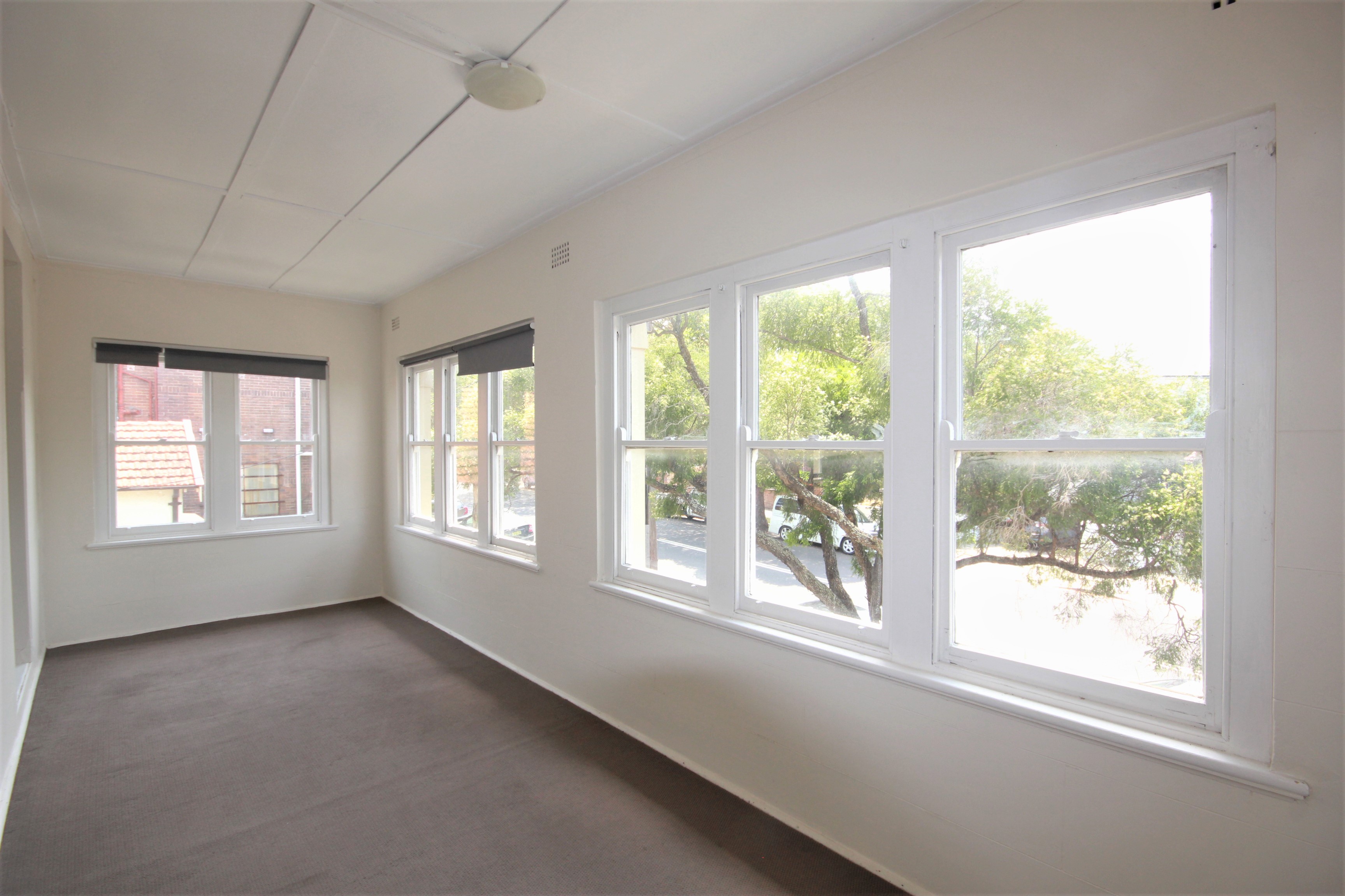 31 Holden Street, Ashfield Apartment/unit For Rent In Ashfield Wiseberry